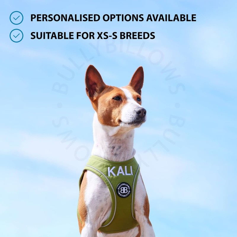 BullyBillows Step-In Dog Harness With Handle | Small BREED/PUPPY Harnes