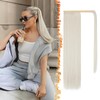 BARSDAR Straight Wrap Around Ponytail Extensions - 18 Inch Long