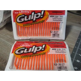 Berkley Gulp 2 Packs Berkley Gulp Fishing Baits 2.5" Floating Trout Worm - Fluorescent Orange