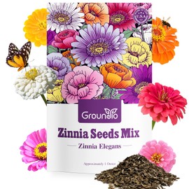 Groundio Zinnia Seeds Mix, 1 Oz, Over 3,000 Flowers Seeds, 5 Varieties (Pink, Yellow, Orange, White, Purple), Mixed Colors and Large Blooms,Open Pollinated - Bulk