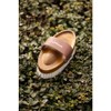 LeMieux Artisan Soft Goats Hair Brush - Brown