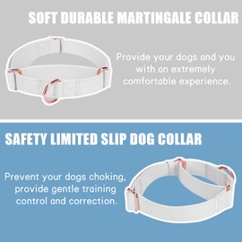 Soft Leather Martingale Dog Collar - Adjustable Rose Gold Limited Slip Collars [Easy to Clean], Stylish Durable Heavy Duty Nylon No Pull Training Collar for Small Medium Large Dogs S White