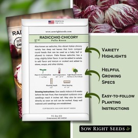 Sow Right Seeds - Palla Rosa Chicory Seeds for Planting - Non-GMO Heirloom Packet with Instructions to Plant an Outdoor Vegetable Garden - Italian Radicchio Seeds - Large Pink & Light Green Heads (1)