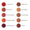 Lunasol Seamless Matte Lipstick 01 Lipstick 01 Opure Red, 0.1