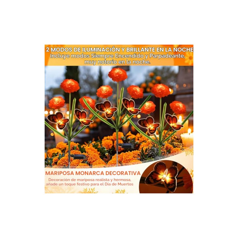 Dia de Los Muertos - Luces de flores de caléndula