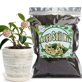 Doter Potting Soil Mix for Hoya 2qt, Custom Hand Blended Mixture Suitable for Indoor/Outdoor Potted Fern Plant