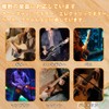 One Touch Shark Shape Pick, Guitar Capotas, Electric Guitar, Capotasto,