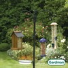 Gardman BA01131 Premium Bird Feeding Station Kit, 21" Wide x