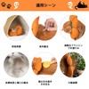Elizabeth Color Cat Soft Waterproof Lightweight Wound Protection After Surgery