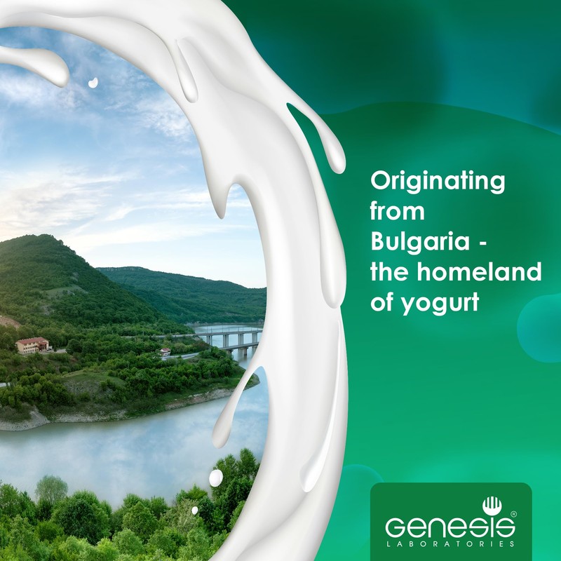 Bio Bulgarian Yogurt Starter Culture For Bio Yogurt Natural Probiotic