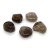 Smoky Quartz Medium Crystal Tumbled Stone - 1 Pc