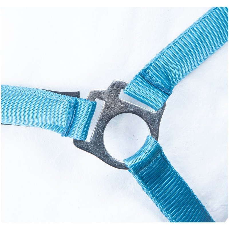 HKM by Reiterladen24 Basicline Lined Headcollar Turquoise / Aqua Shetty