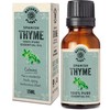 Natural Planet Spanish Thyme Essential Oil 15ML Natural 100% Pure