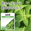 【リプサ公式】 延命草 約3か月分×2袋 C-179-2 美容 サプリメント