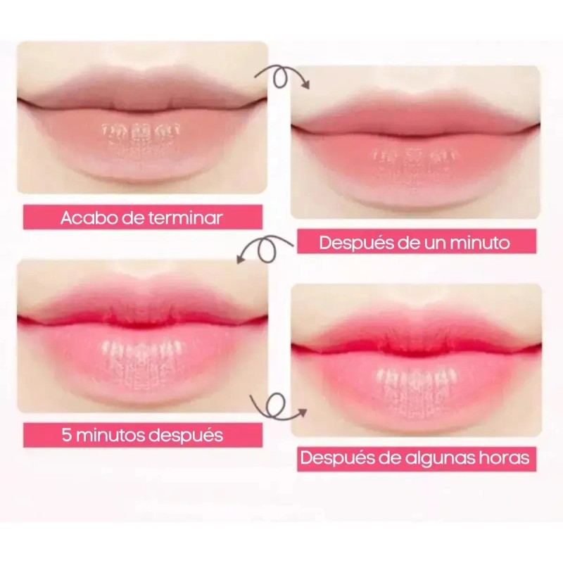Bálsamo Labial Nutritivo Lipstick Suave Humectante Aroma 5pz