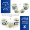 Aves Apoxie Air Dry Modeling Clay for Professionals - Self