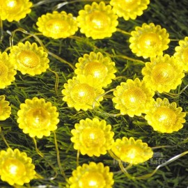 Impress Life Sunflower String Lights with Remote and Battery,Spring Decor 10f...