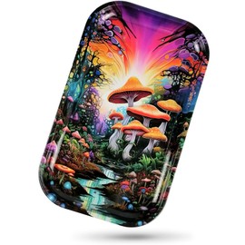 Metal Tray Large Storage Decorative Tray Organizer Box Ideal for Home or on The Go, 11" x 7"