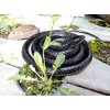 Brandon-super Realistic Rubber Black Snake 52 Inch Long Scare Toy