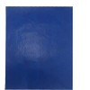 Send It By A4 Hand Carbon (Pack Quantity 10) (Blue, Pack of 1)