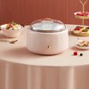 Fully Automatic Yogurt Maker Greek Yogurt Machine with Stainless Steel