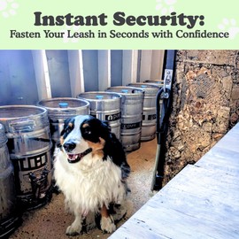 Canine Hitch- Secure Dog Leash Parking Mounted Indoor – Outdoor Wall Hook - Tie Out Stainless Steel Practical Lead Management for Home & Business, Slim Compact