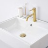 GORDEE Bathroom Vessel Sink Pop Up Drain With Detachable Garbage