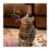 Gudaci Interactive cat Toy, cat Wand String, Colorful Fabric Ribbon