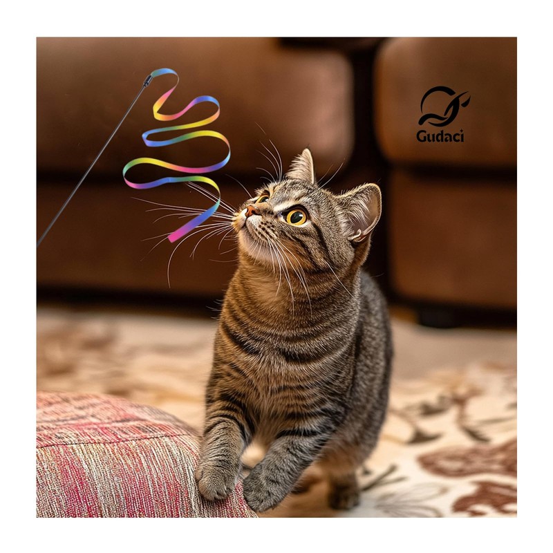 Gudaci Interactive cat Toy, cat Wand String, Colorful Fabric Ribbon