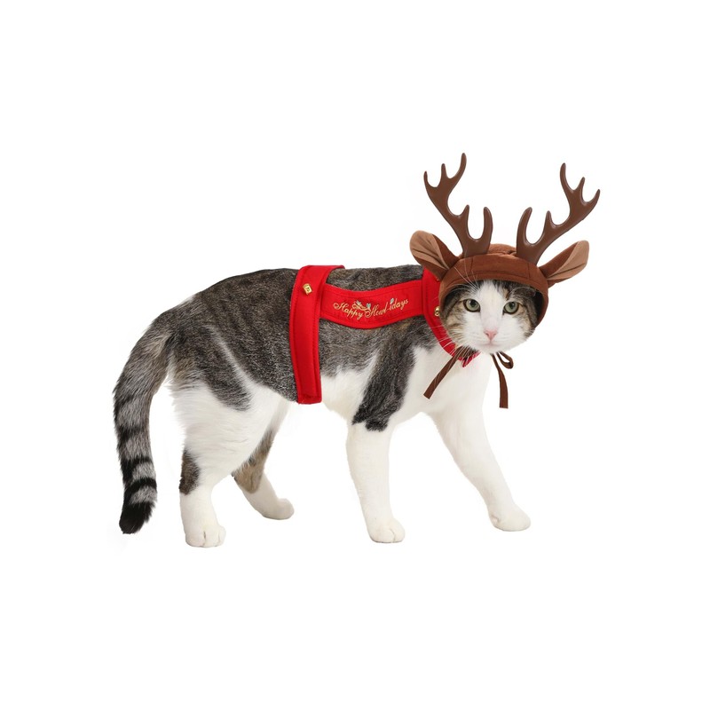 California Costumes Collections PET20155 Apparel for Pets, Small