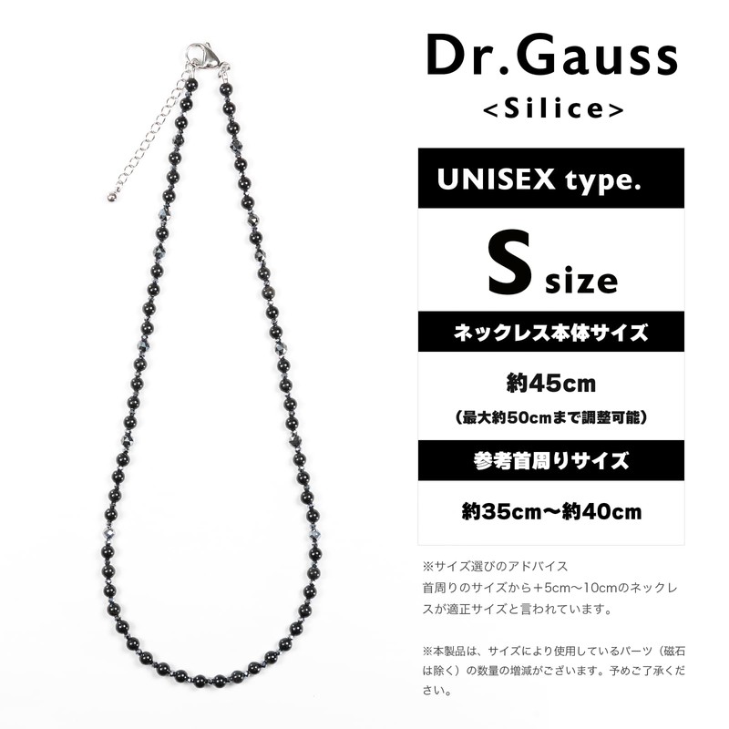 Dr. Gauss SILICE>
