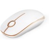 Wireless Mouse, Vssoplor 2.4G Slim Portable Computer Mice with Nano