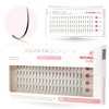 Renata Beauty Spikes Eyelash Extensions - 3 Sizes Individual Eyelashes