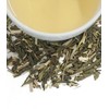 Harney & Sons Green Tea with Coconut, Ginger and Vanilla,