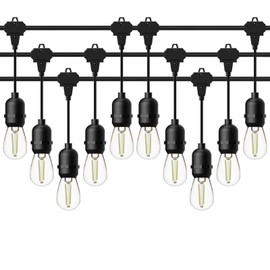GOODSMANN LED Low Voltage String Lights 12V AC 50FT 10PCS 2W Bulbs 135 Lumens Hanging Landscape Lighting 2800K String Weatherproof Decorative Light for Patio Light