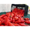 D.O.P. San Marzano Tomatoes Gustarosso DaniCoop – Campania, Italy -