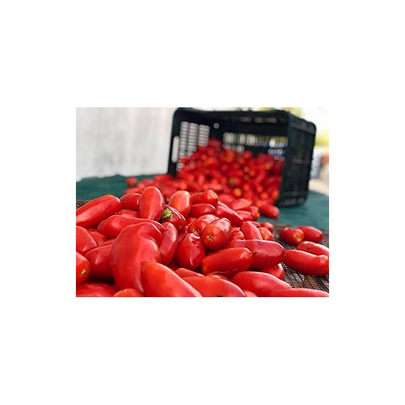 D.O.P. San Marzano Tomatoes Gustarosso DaniCoop – Campania, Italy -