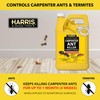 Harris Carpenter Ant Killer & Termite Control Treatment, Kills On