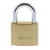 Burg-Wachter Burg-Wächter Duo 222 40 SB Padlock Set, Brass, Bügelstärke: