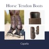 LeMieux Derby Projump Tendon Horse Boots in Black with Close