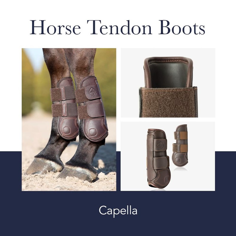LeMieux Derby Projump Tendon Horse Boots in Black with Close