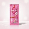 Shampoo Sedal Hotelero 576 Sobres De 10ml