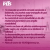 Fancypets Fancy Pets Plato de Colores Surtidos para Perro con