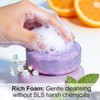 Blueberry Fields Shampoo & Conditioner Bundle, Antioxidant-Rich Hair Care Bundle