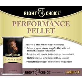 Right Choice Low Starch Performance Pellet for Horses with 14% Protein, 50 lb Bag