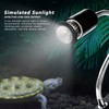 Turtle Basking Light Bulb UVA UVB Concave and Convex Mirror