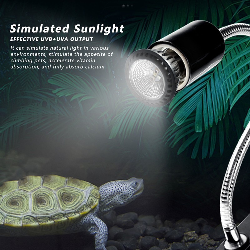 Turtle Basking Light Bulb UVA UVB Concave and Convex Mirror