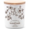 WarmEmbrace Deluxe Scented Candle for Women & Men, Vanilla Coconut,