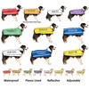 CAUTION (Do Not Approach) Red Colour Coded S-M L-XL Dog