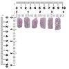 Natural Rubellite Tourmaline Crystal 10-15 cts, one piece